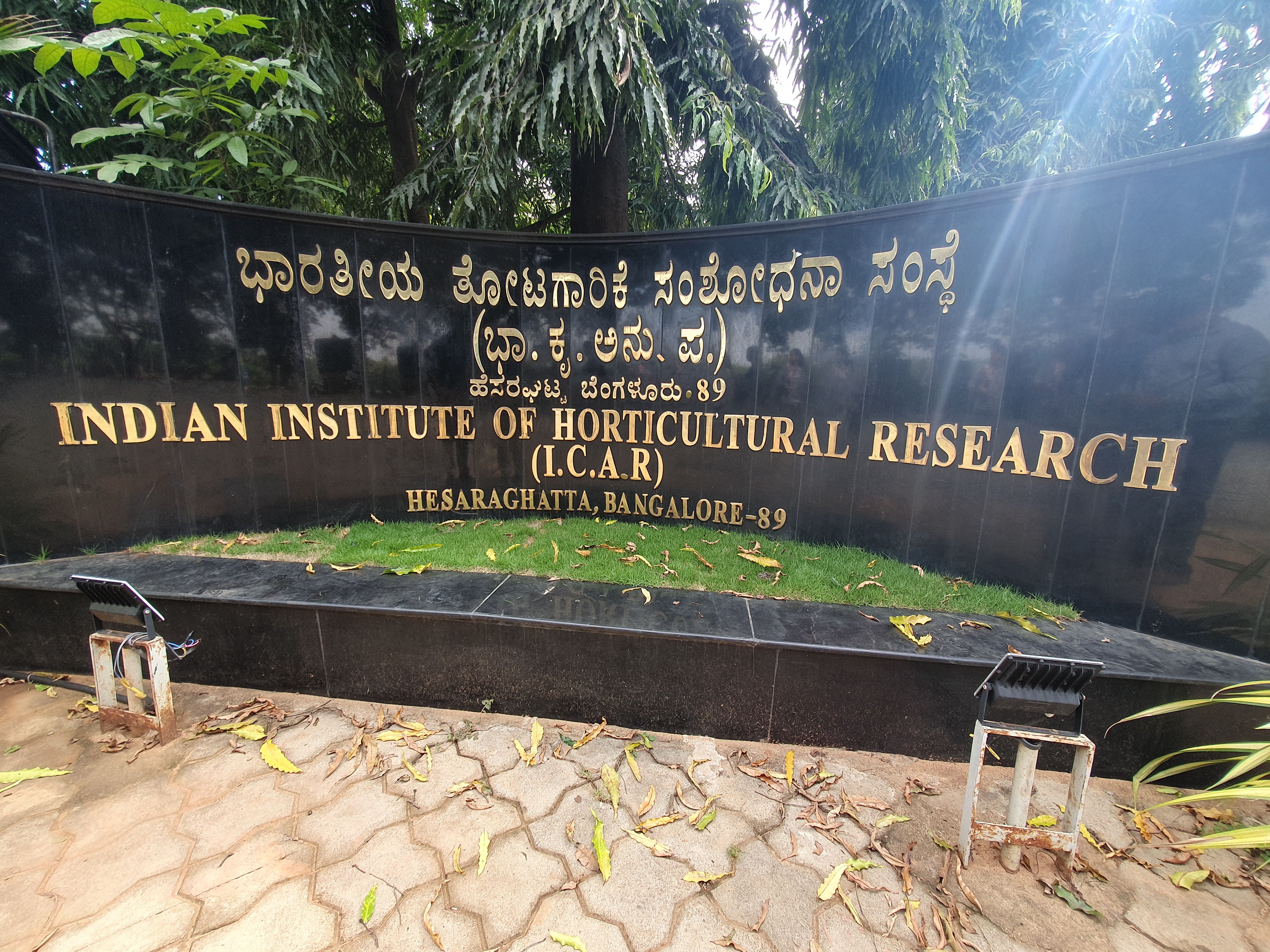 Intern Image